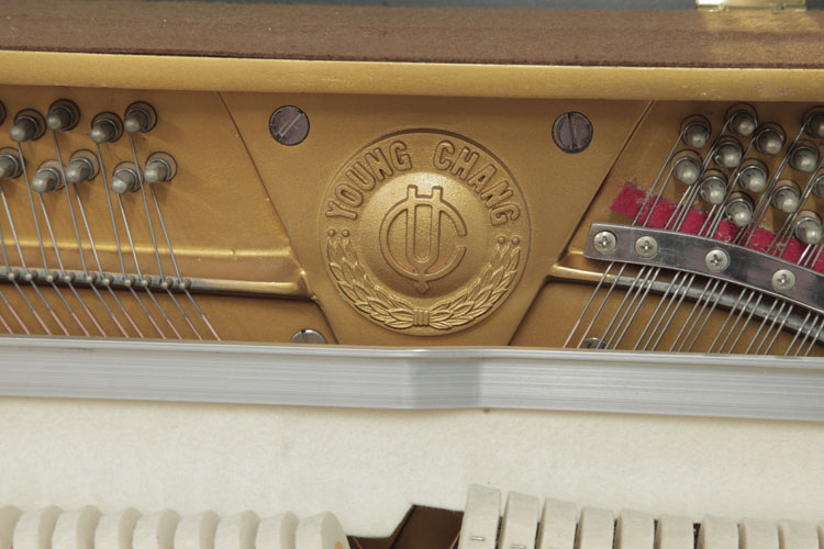 Young Chang U-109  instrument