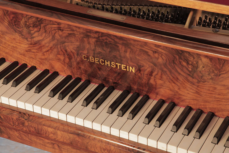 Bechstein manufacturers name inlaid on fall