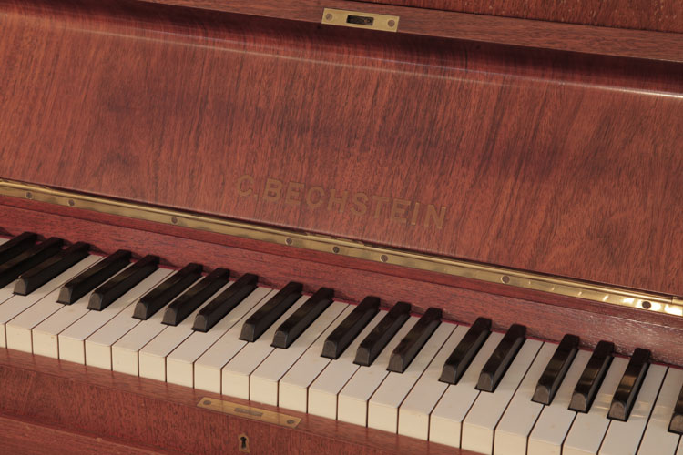 Bechstein manufacturers logo on fall 