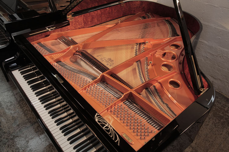 Schimmel instrument