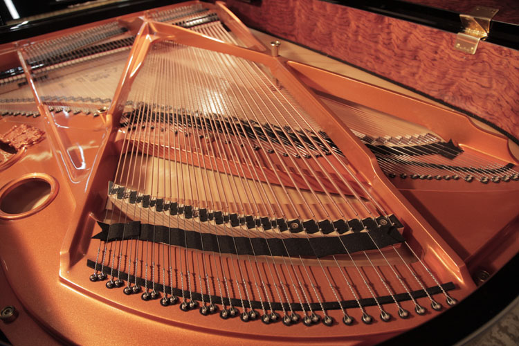 Schimmel wide-tail design