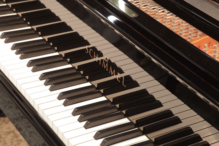  Schimmel manufacturers name on fall
