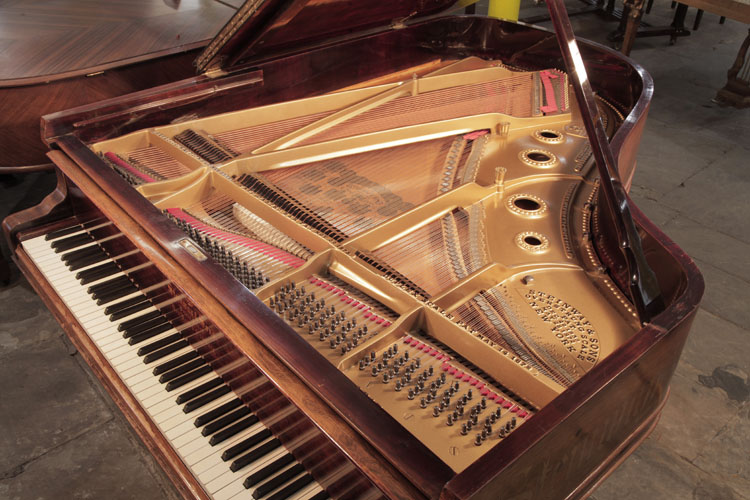 Steinway  instrument  