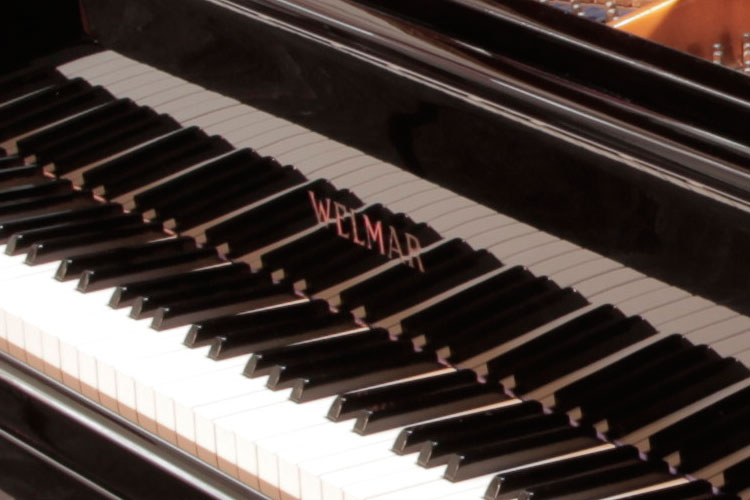 Welmar  manufacturers name on fall