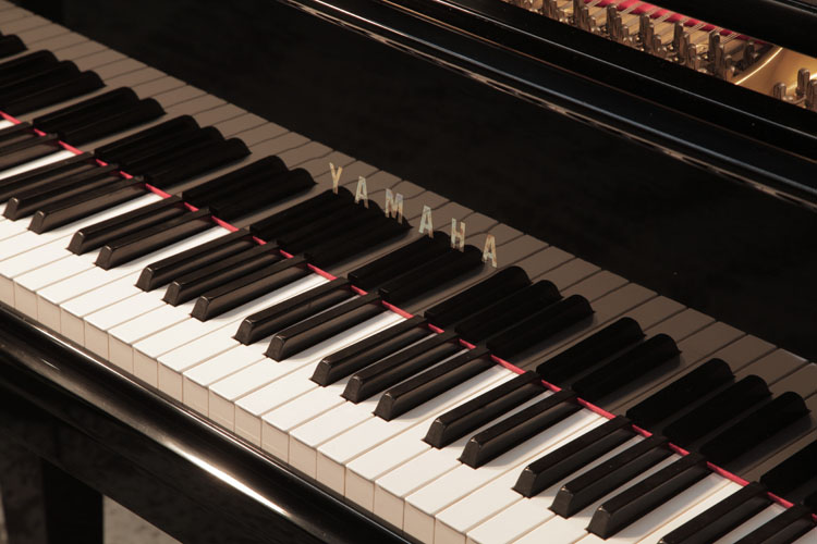 Yamaha GH1 manufacturers name on fall