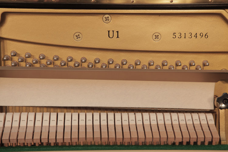 Yamaha model name and serial number on frame